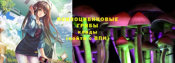 прущая мука Семёнов
