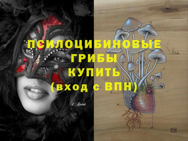 марки lsd Гусь-Хрустальный
