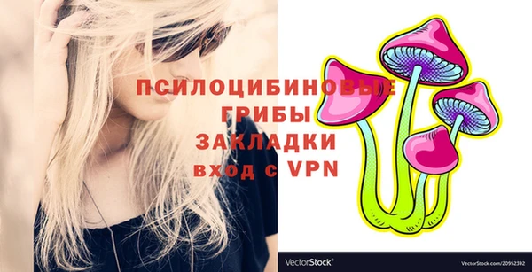 марки lsd Гусь-Хрустальный