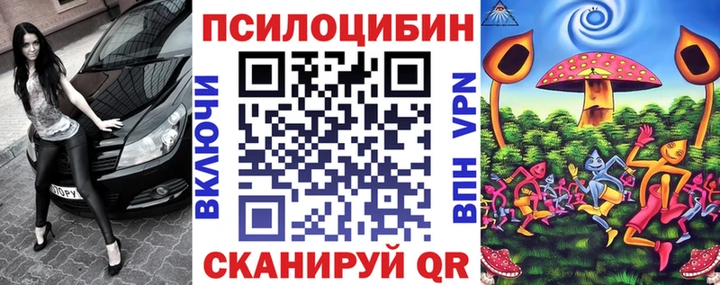 Псилоцибиновые грибы MAGIC MUSHROOMS  как найти   Москва 