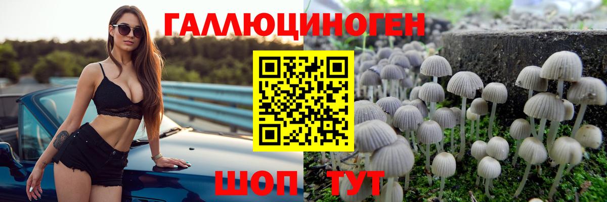 Москва  Галлюциногенные грибы прущие грибы  Вход с VPN 